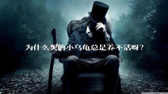 为什么买的小乌龟总是养不活呀？