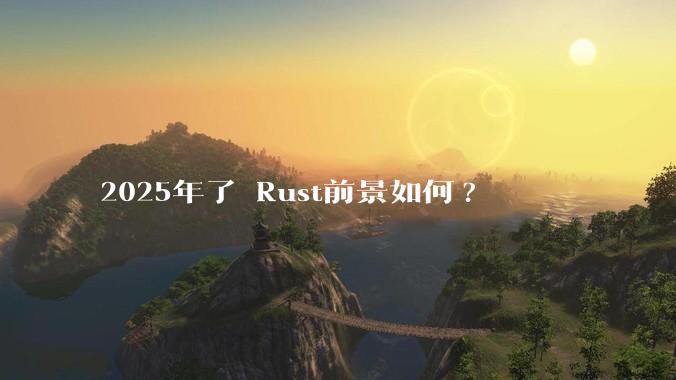 2025年了 Rust前景如何?
