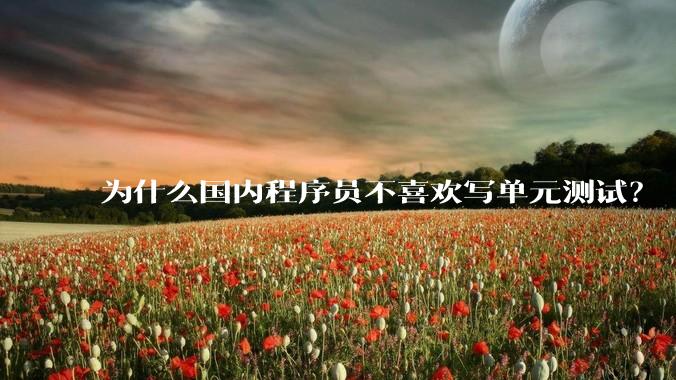 为什么国内程序员不喜欢写单元测试？