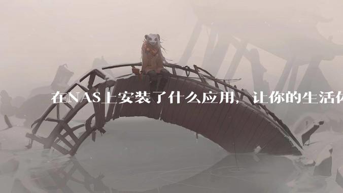 在NAS上安装了什么应用，让你的生活体验有了巨大的提升？