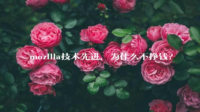 mozilla技术先进，为什么不挣钱？