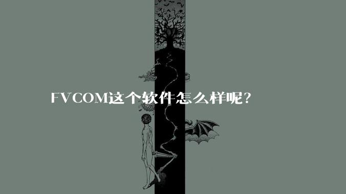 FVCOM这个软件怎么样呢？